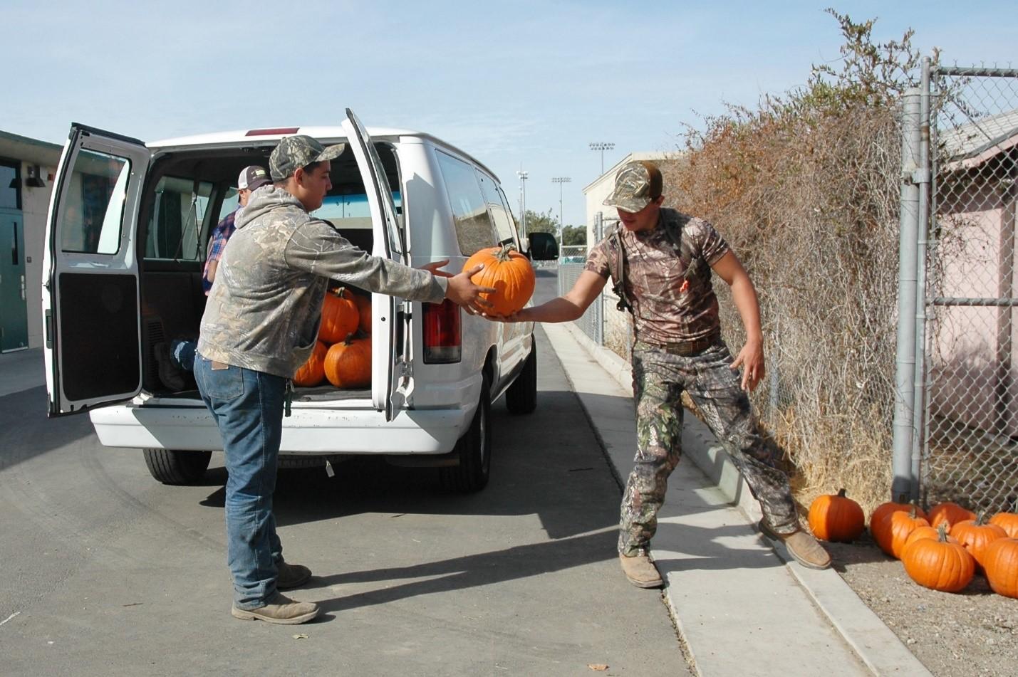 FFA students, Dustin Mattos and Clayton Borges, handle the pumpkins picked by the elementary students in the annual FFA Pumpkin Patch event on October 13, 2016.