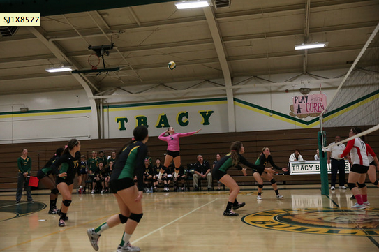 Junior Casey Eddy Berry jumps to serve the ball against Lincoln.