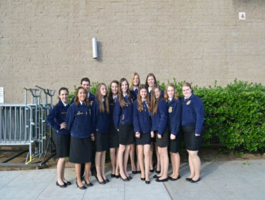 FFA state conference attendees.