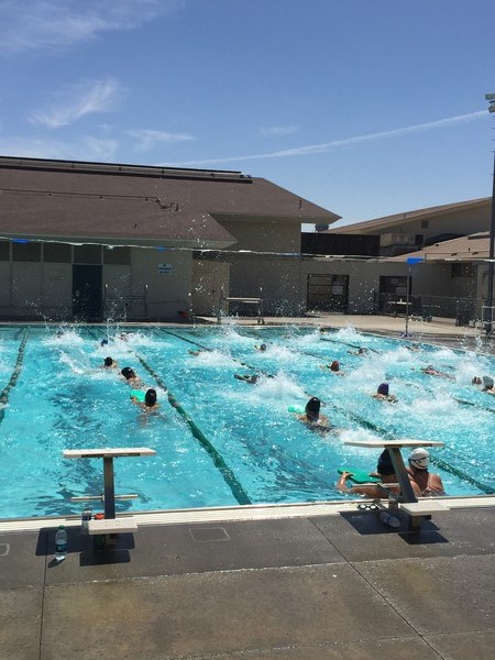 Girls water polo practices their kicks in the pool