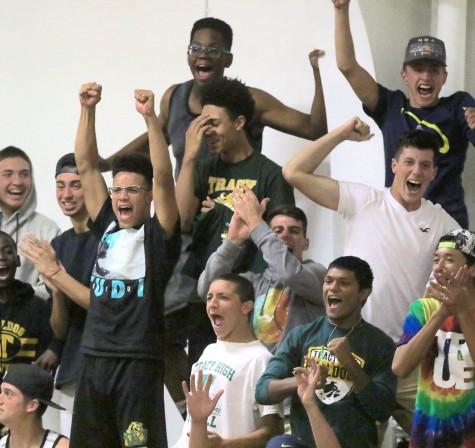 Tracys fans celebrate during game against St. Mary's