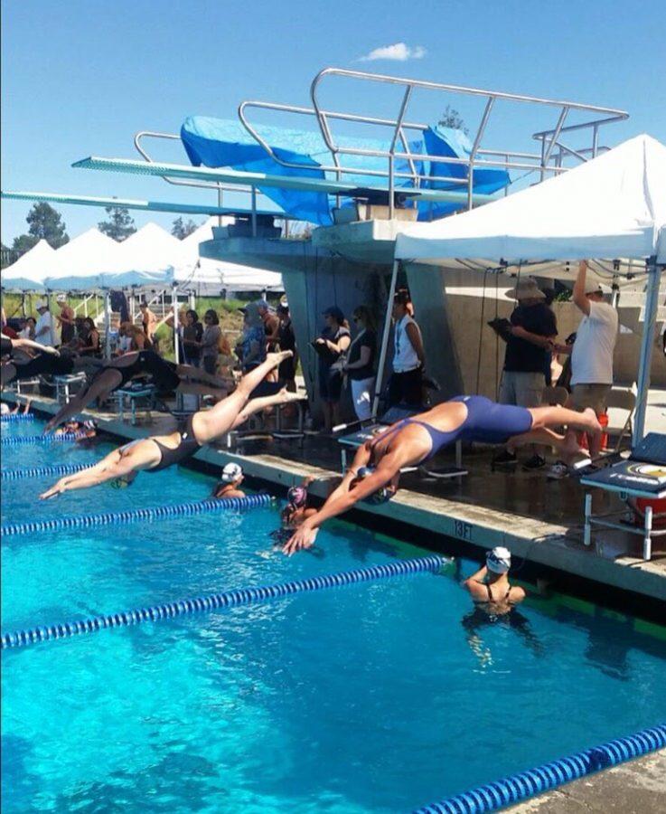 Senior, Bridgette Houser, in the second lane dives into the pool during her event at the league championships on April 29. 