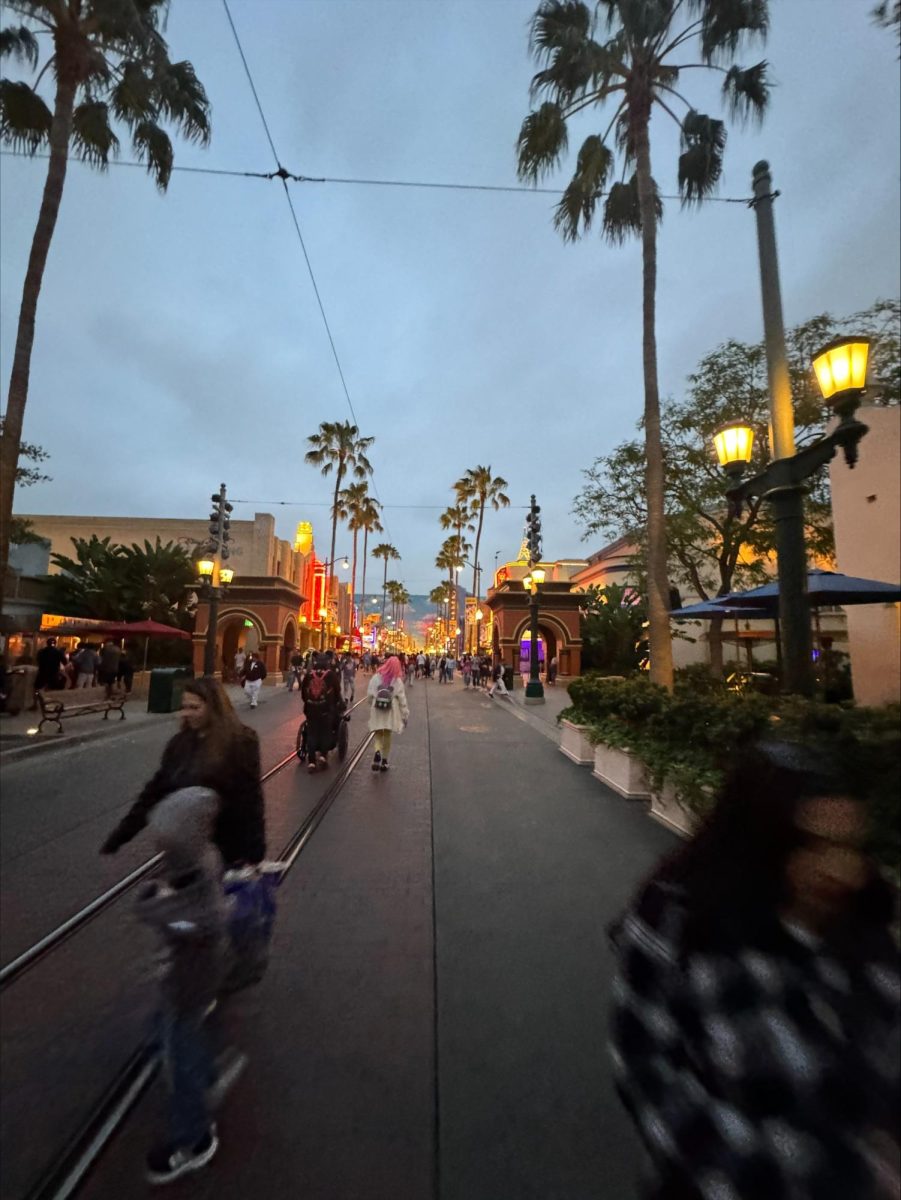 Seniors+Take+on+Disneyland