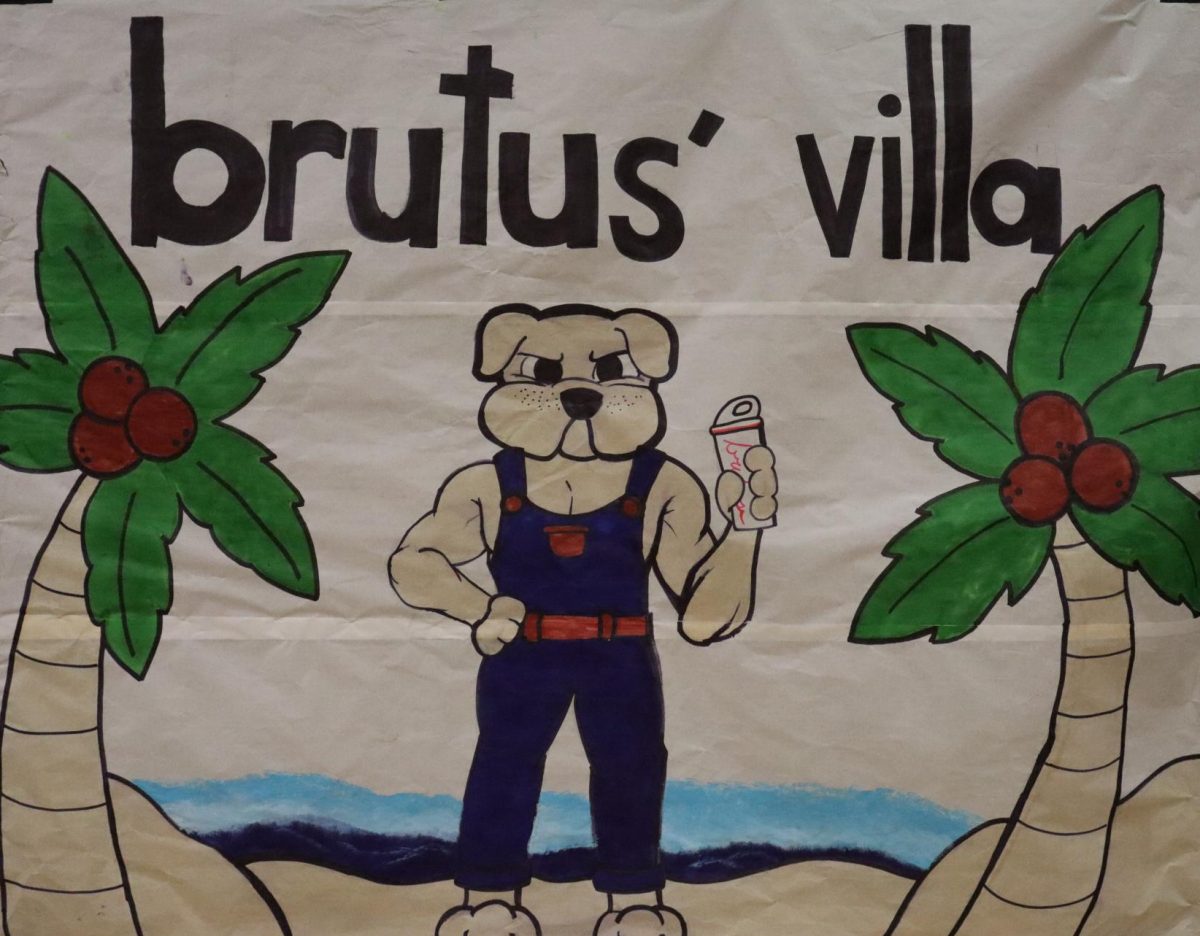 Brutis' Villa BTS Rally