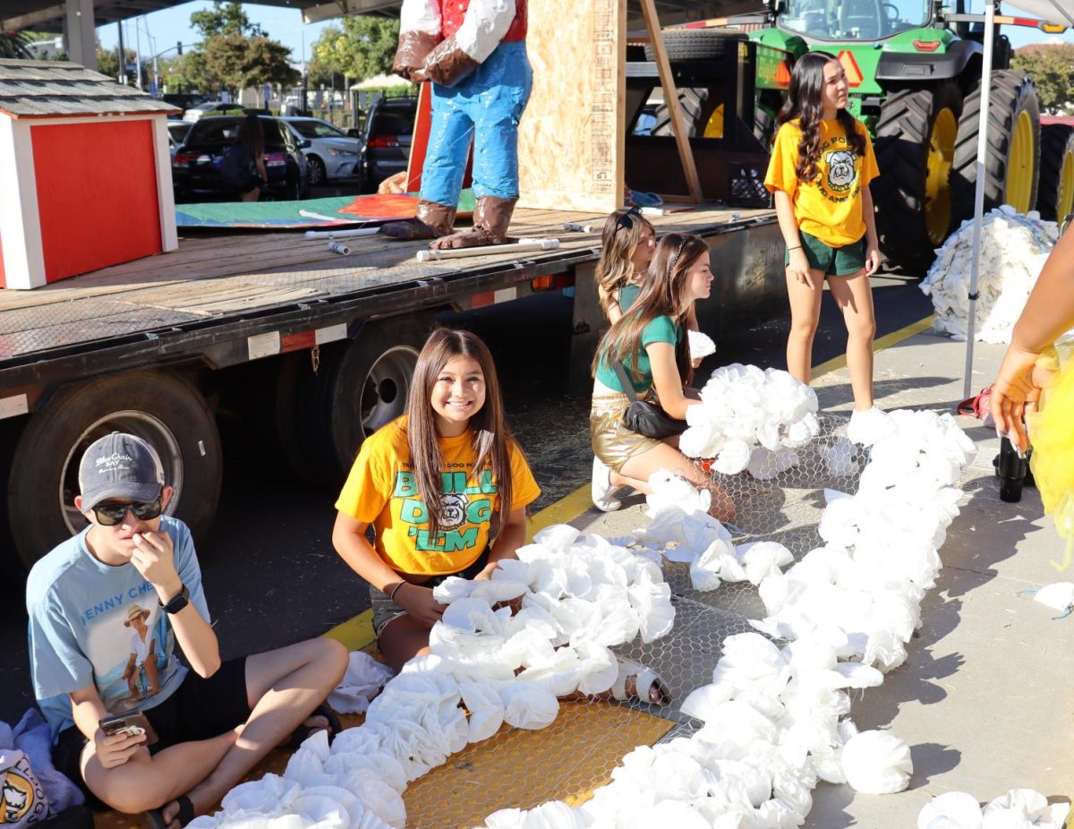 Students Create Floats