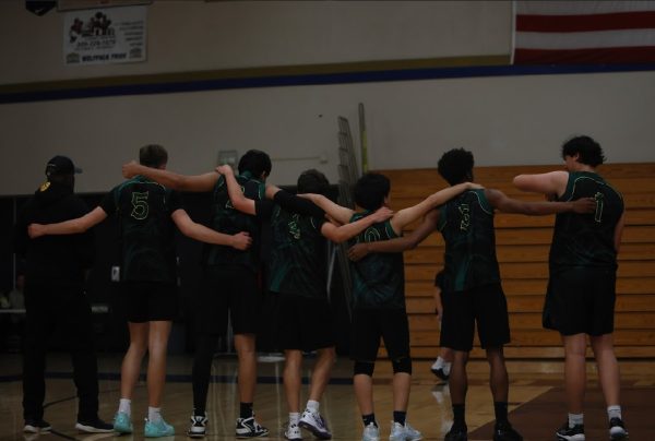 Bulldogs Eliminated from Playoffs
