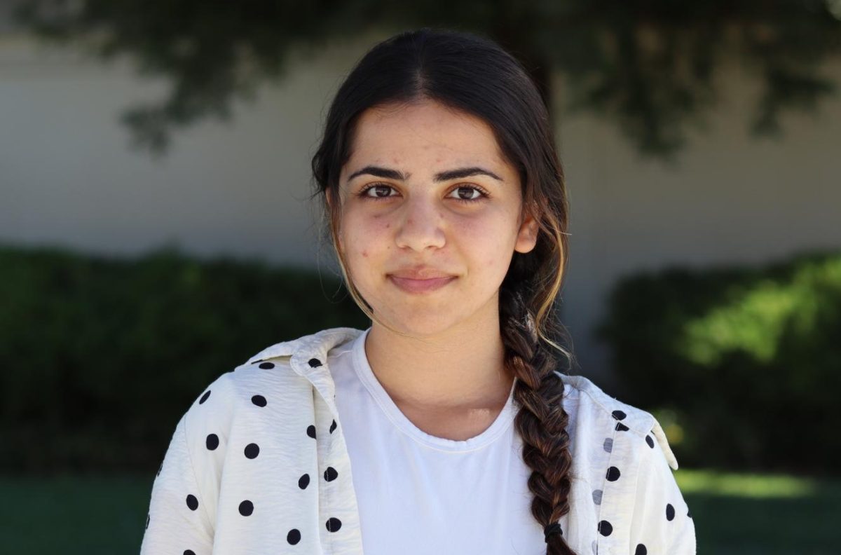 Benazir Qasim