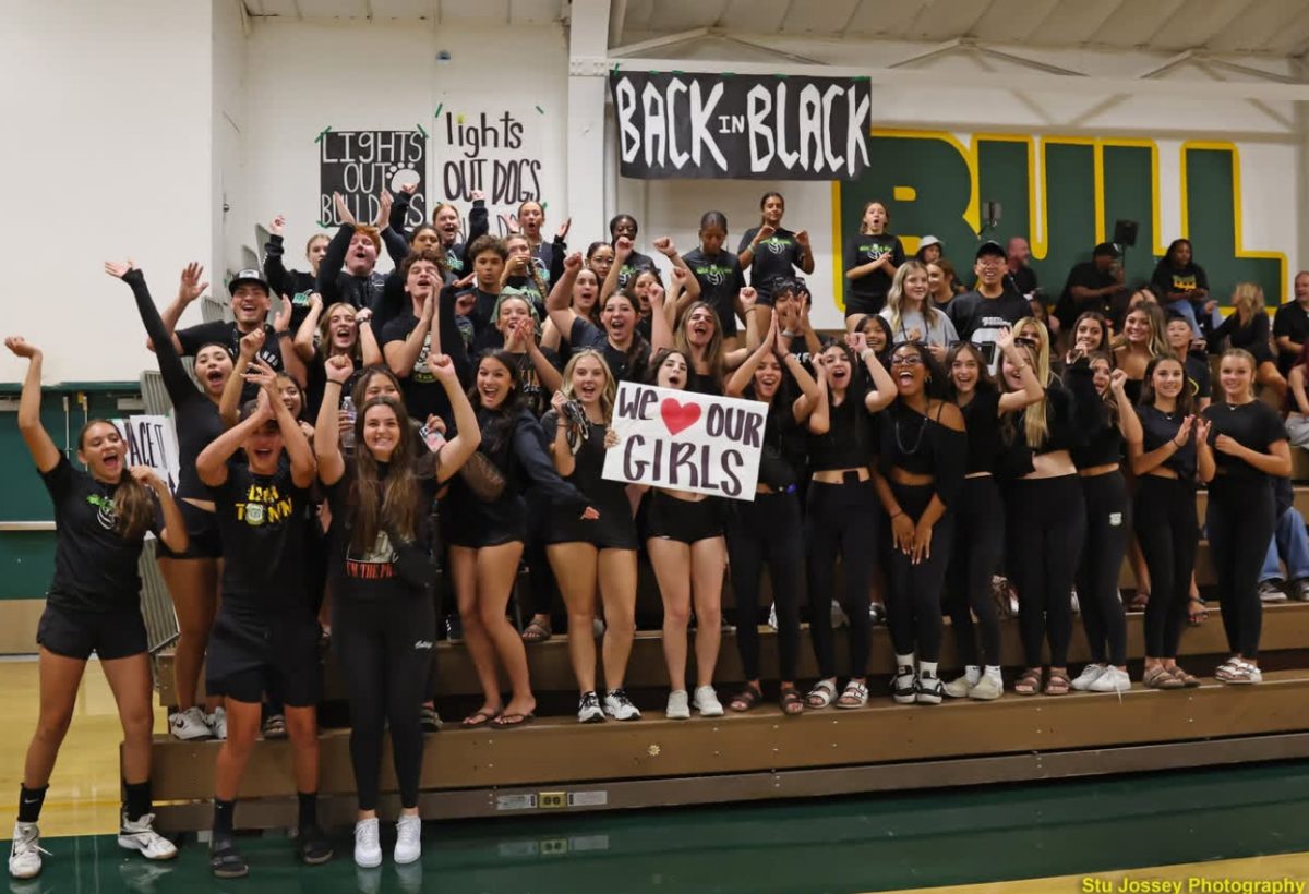 Dog Pound Rallies Despite the Loss