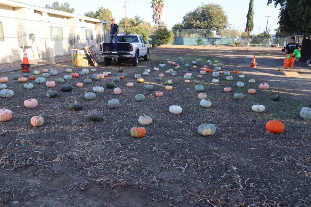 PHOTOS: Ag Science Holds Pumpkin Patch