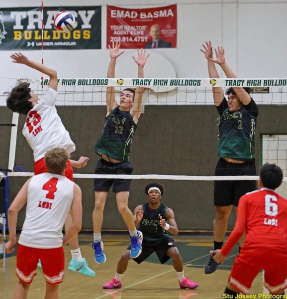Dogs Snatch First in League