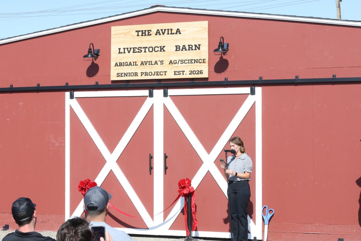 Avila Builds Livestock Barn