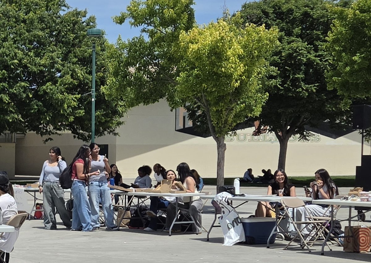 Clubs Fundraise at the Market