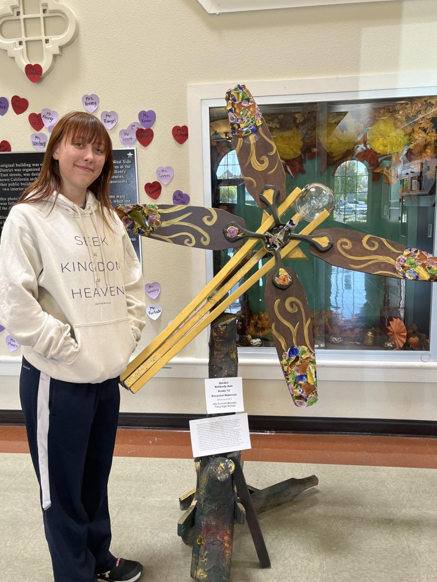 Noll Transforms Art Piece