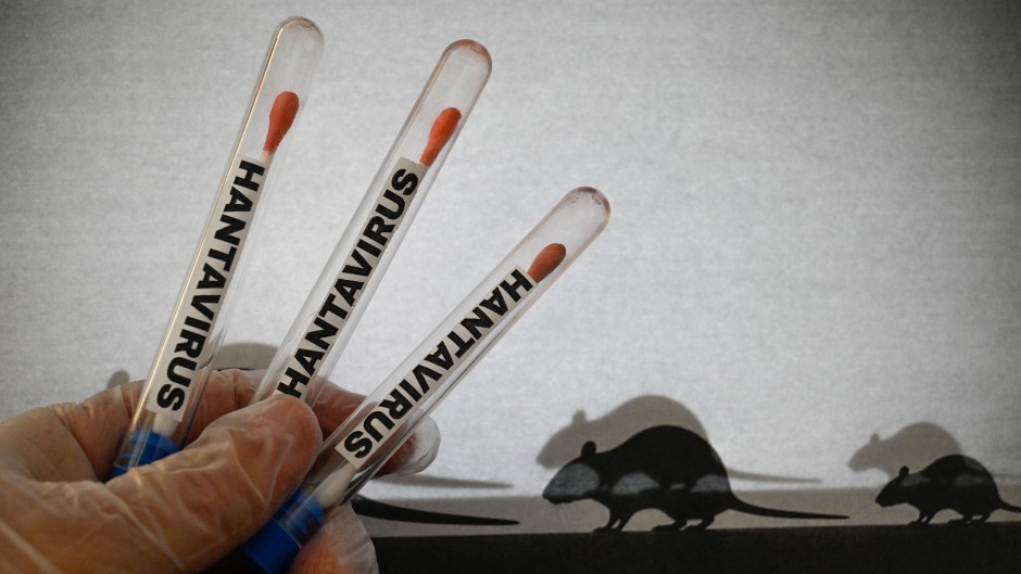 Hantavirus Resurgence
